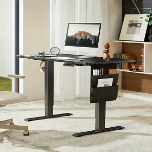 PERLESMITH 48x24 Inch Ergonomic Standing Desk with Storage & Memory Function